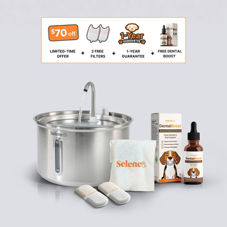 The Fresh Breath Bundle
