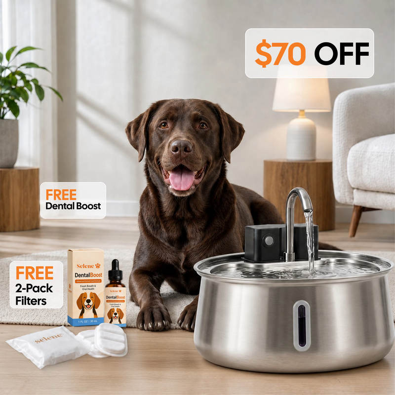 The Doggy Fountain™