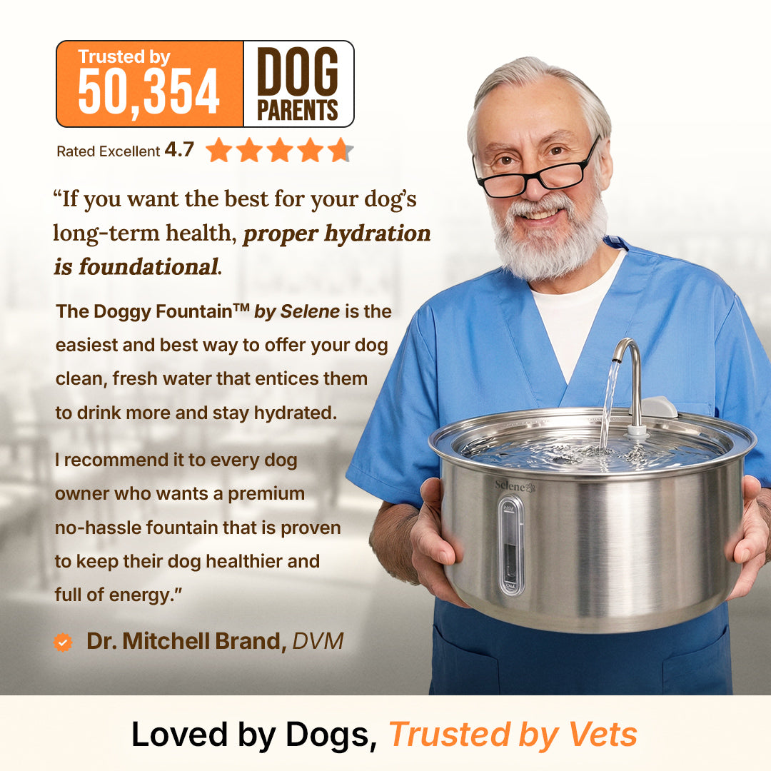 plug-in 4l capacity without dental boost