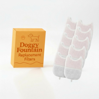 10 Filter Pack - 8 Months