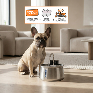 Wireless Doggy Fountain™