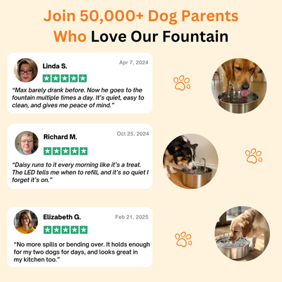 The Doggy Fountain