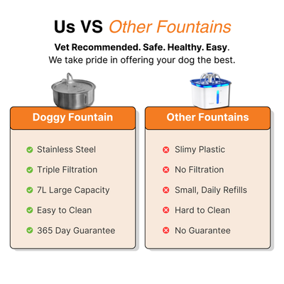 The Doggy Fountain™