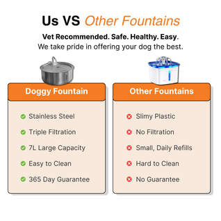 The Doggy Fountain™