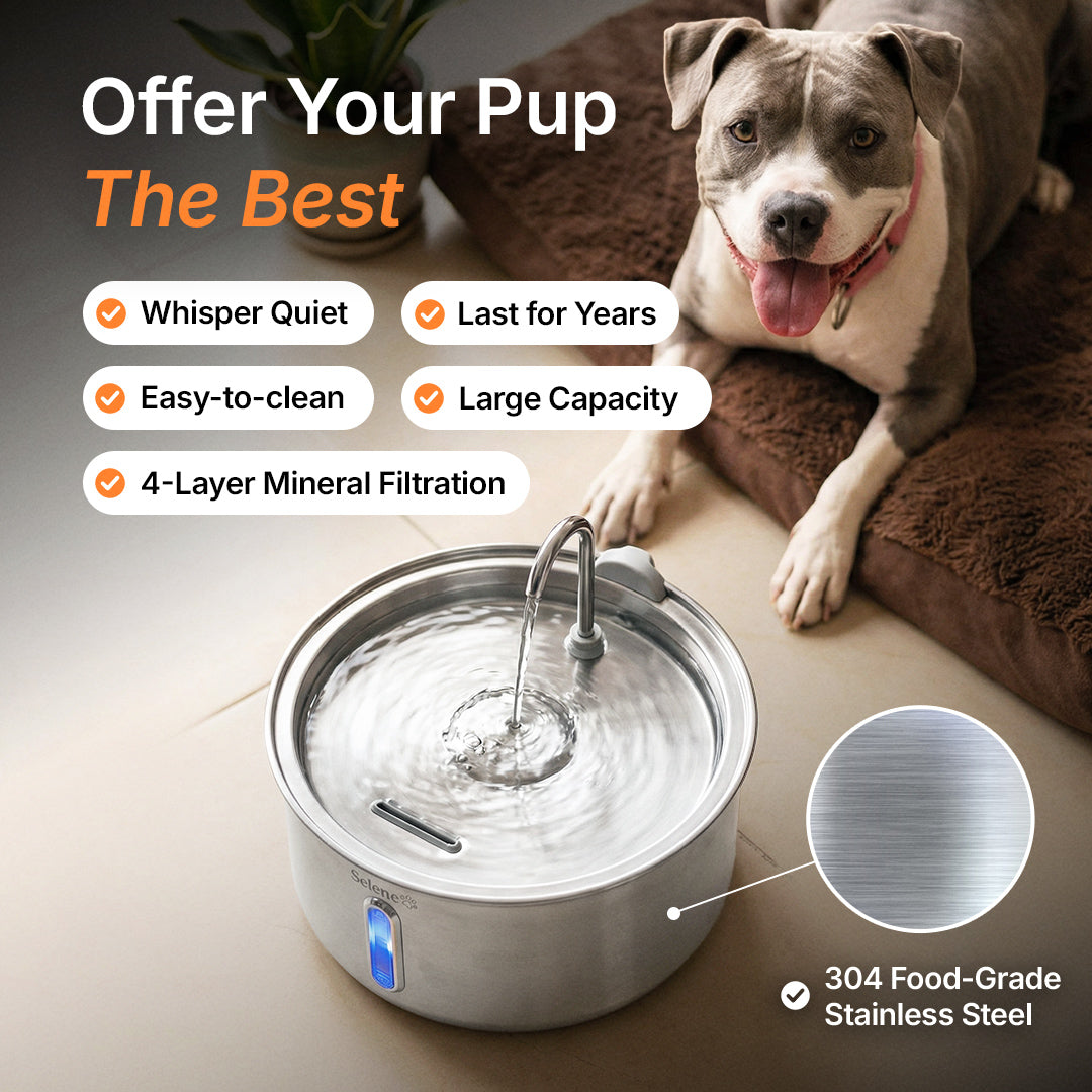 plug-in 4l capacity without dental boost