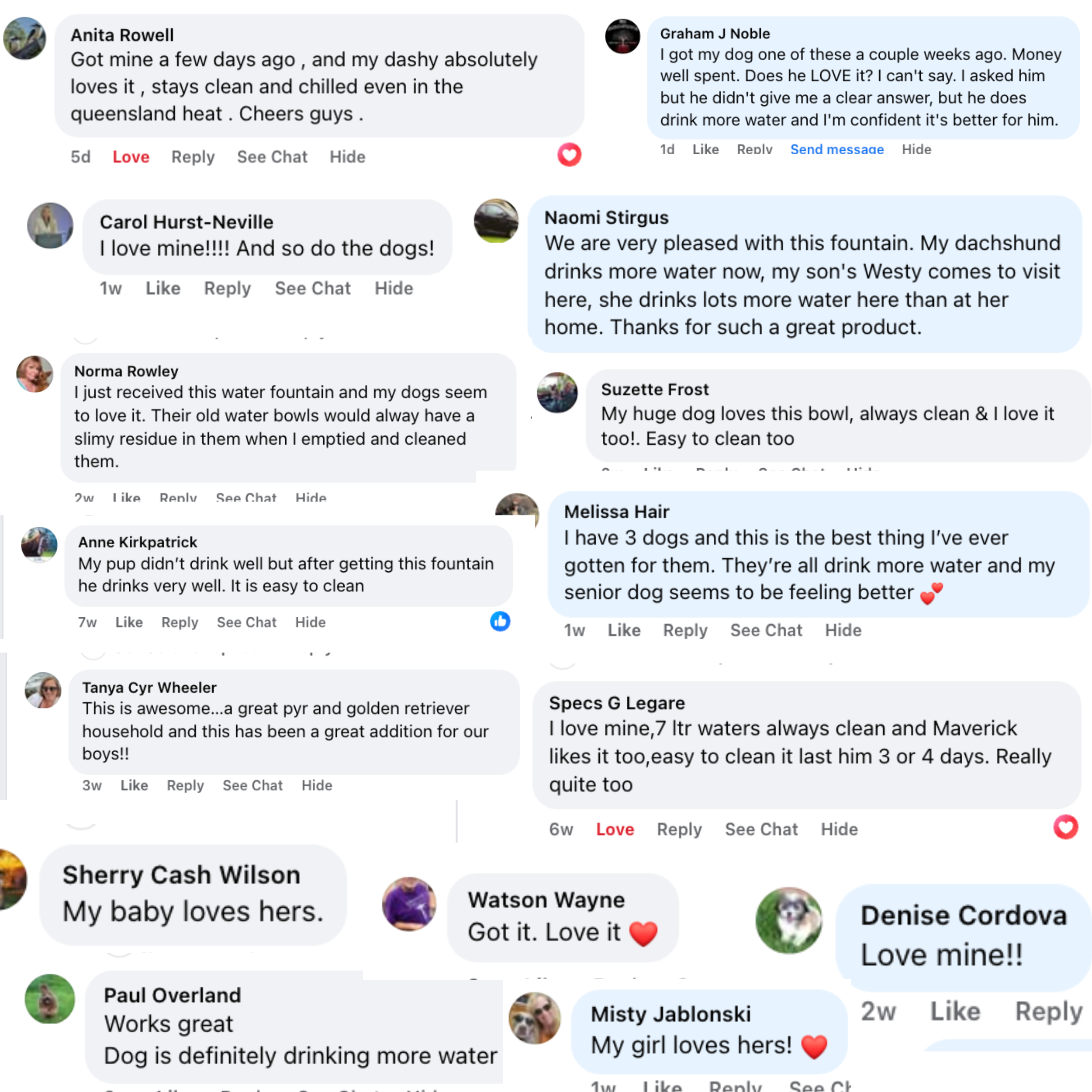 The Doggy Fountain™