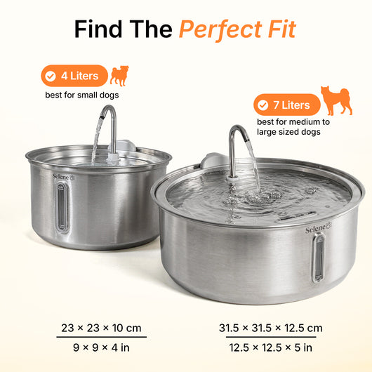 Non-Wireless 4L Capacity