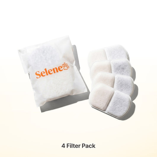 2-Month Supply • 4 Filters