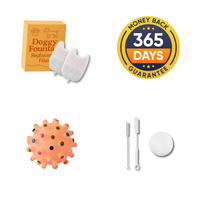 New Year Sale: 4 FREE Gifts
