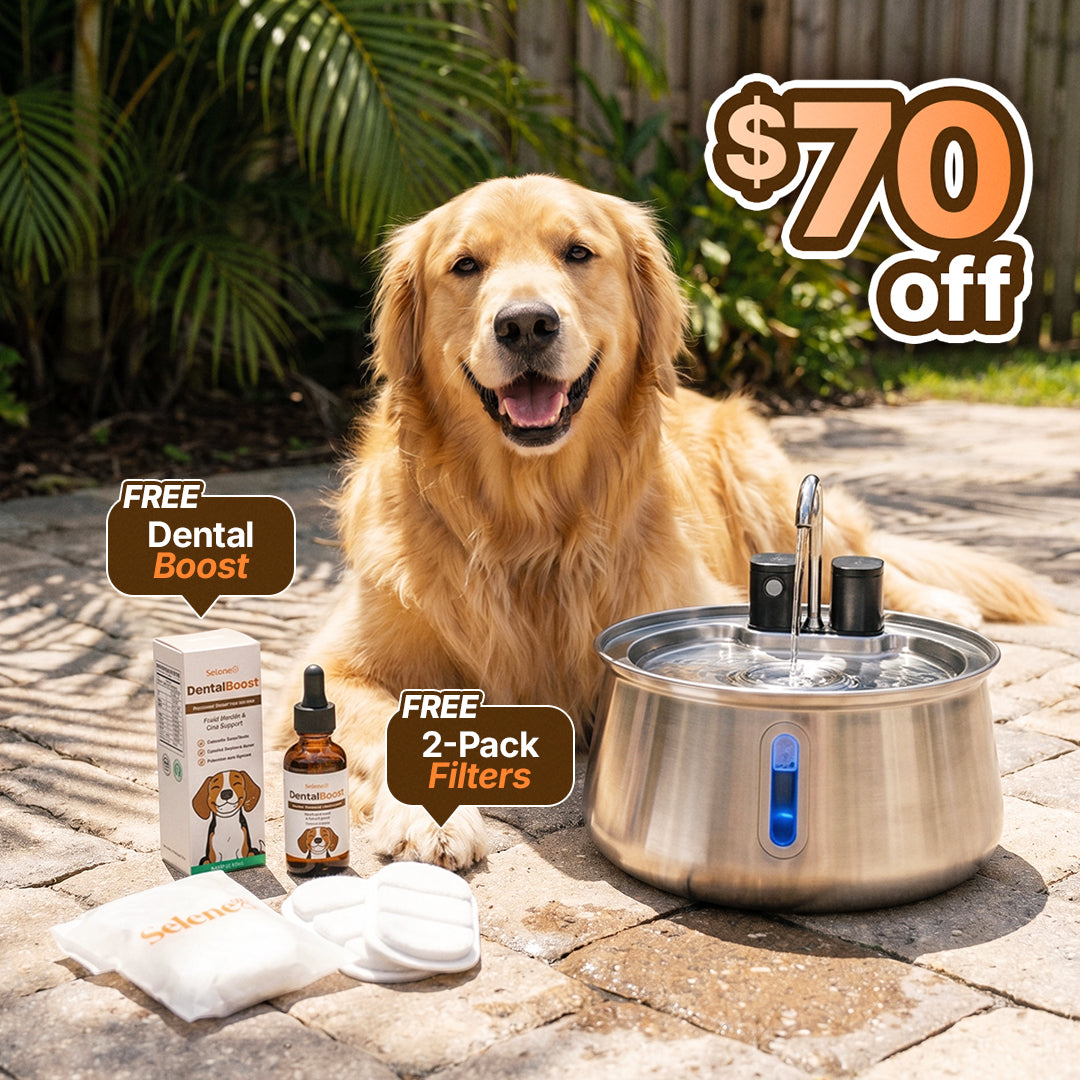 wireless 7l capacity with dental boost