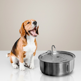 The Doggy Fountain™